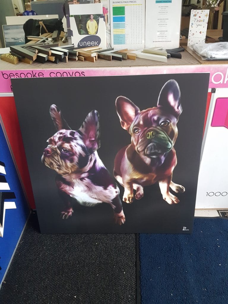 front end view of printed canvas of dogs