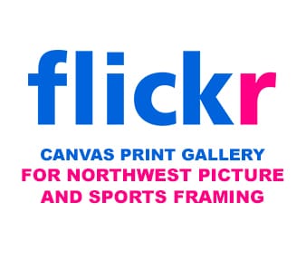 flickr canvas gallery